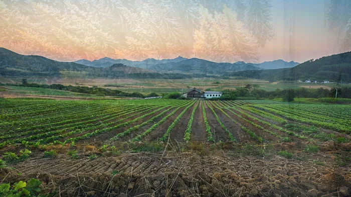 신용카드대금 연체